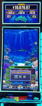 Bonus Features rgbet